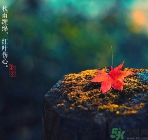 秋分做什么運(yùn)動(dòng)好？秋分運(yùn)動(dòng)注意事項(xiàng)