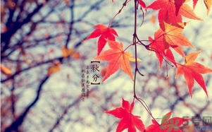 秋分做什么運(yùn)動(dòng)好？秋分運(yùn)動(dòng)注意事項(xiàng)