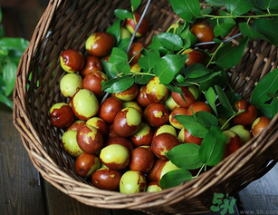 新鮮紅棗補(bǔ)血嗎？吃新鮮紅棗補(bǔ)血嗎？