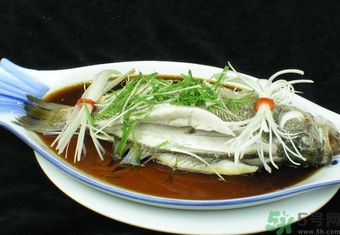 鱸魚是淡水魚還是海水魚？鱸魚是海魚嗎？