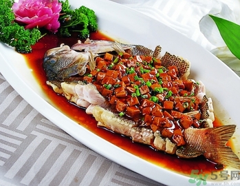 鱸魚和桂魚哪個好吃？鱸魚和桂魚的區別
