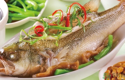 鱸魚和桂魚哪個好吃？鱸魚和桂魚的區別