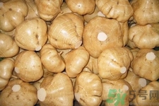 涼暑什么時(shí)候最好吃？涼薯發(fā)芽能吃嗎？