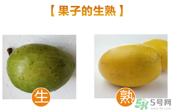 蛋黃果多少錢一斤？蛋黃果什么時(shí)候成熟？