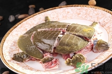 甲魚怎么殺？甲魚怎么處理？
