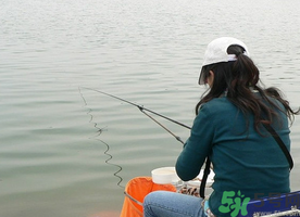 秋天釣鯉魚用什么味型？秋季釣鯉魚餌料味型