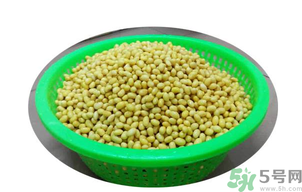 新鮮黃豆怎么保存？新鮮黃豆米如何保存？