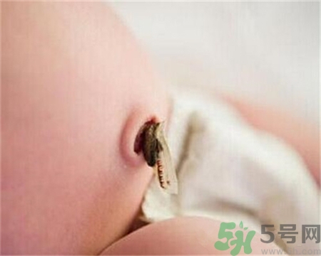 新生兒肚臍怎么護理？新生兒肚臍什么時候掉？