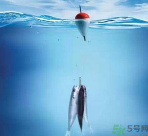 秋天釣魚(yú)深水還是淺水？秋天釣魚(yú)釣深水還是淺水？