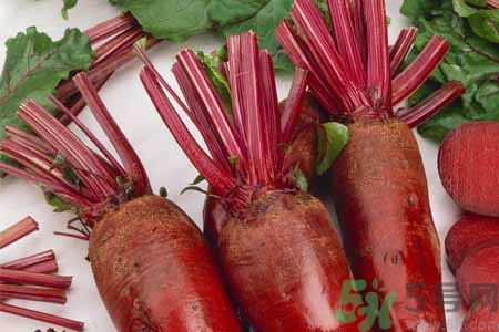 甜菜是甜的嗎？甜菜到底是不是甜的？