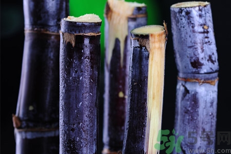 老人一天吃多少甘蔗最好？老人一天吃多少甘蔗合適？