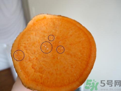 番薯發芽還能吃嗎？山芋發芽還能吃嗎？