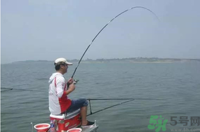 陰天好釣魚(yú)嗎？陰天釣魚(yú)好釣嗎？