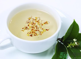 新鮮桂花能泡茶嗎?新鮮桂花怎么處理泡茶? 新鮮桂花能泡茶嗎?新鮮桂花怎么處理泡茶?