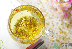新鮮桂花能泡茶嗎?新鮮桂花怎么處理泡茶? 新鮮桂花能泡茶嗎?新鮮桂花怎么處理泡茶?