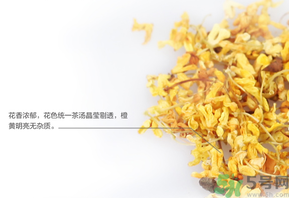新鮮桂花可以泡水喝嗎？新鮮桂花泡水喝有什么好處？