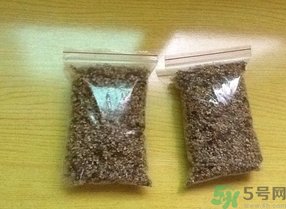 桂花怎么曬干？桂花曬好后可以做什么？