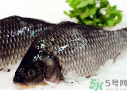 鯽魚(yú)死了一夜能吃嗎？鯽魚(yú)死了一天能吃嗎？