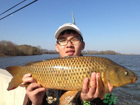 夜釣鯉魚用什么餌料？秋天夜釣鯉魚用什么餌料？