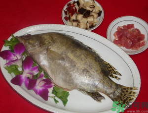 桂魚怎么保存？桂魚放冰箱怎么保存？