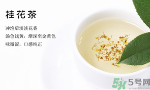 月經期能喝桂花茶嗎？經期能喝桂花茶嗎？