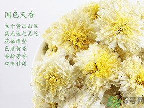 菊花茶可以放冰箱嗎？菊花茶能放冰箱冷凍嗎？