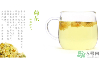 菊花茶可以放冰箱嗎？菊花茶能放冰箱冷凍嗎？