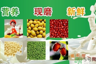 現磨豆漿可以放多久？現打豆漿保質期多久？