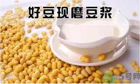 現磨豆漿可以放多久？現打豆漿保質期多久？