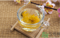 菊花茶可以天天喝嗎？菊花茶喝多了會怎么樣？
