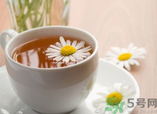 菊花茶可以天天喝嗎？菊花茶喝多了會怎么樣？
