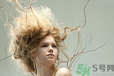 冬天用什么梳子比較好？頭發總愛靜電用什么梳子好？