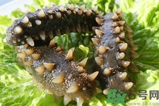 新鮮海參怎么吃最有營養(yǎng)？新鮮海參生吃最有營養(yǎng)嗎？