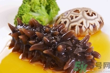 新鮮海參怎么吃最好？新鮮海參生吃最好嗎？