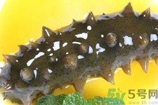 新鮮海參能生吃嗎？新鮮海參是生吃好還是熟吃好？