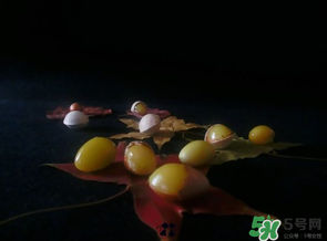 白果可以放微波爐嗎？白果放微波爐轉(zhuǎn)幾分鐘？