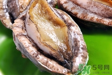 新鮮鮑魚可以放多久？活鮑魚怎樣存放時間更長？