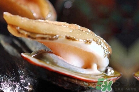 新鮮鮑魚可以放多久？活鮑魚怎樣存放時間更長？