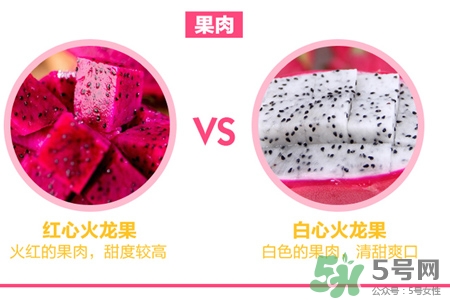 火龍果是什么季節的水果？火龍果什么時候成熟？