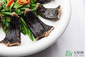 吃蛇肉有什么好處?蛇肉的營養價值及功效