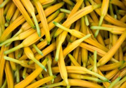 吃黃花菜下奶嗎?產婦可以吃黃花菜嗎?