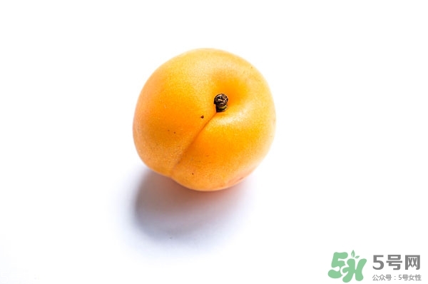 黃杏是什么?黃杏的營養價值和功效