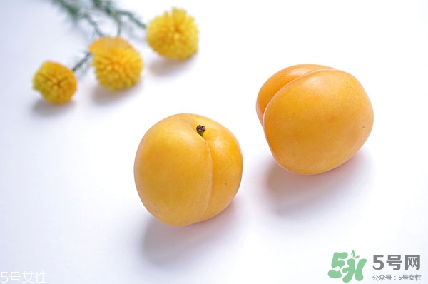 黃杏是什么?黃杏的營養價值和功效