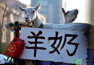 鮮羊奶怎么保存？鮮羊奶放冰箱能放多久？
