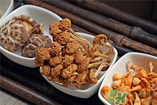 滑子菇的營養價值 滑子菇的功效與作用