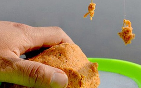 青魚怎么釣？釣青魚用什么餌料最好？