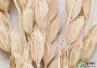 韓律適合什么膚質？韓律適合敏感肌膚嗎？