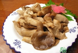 鮑魚菇怎么做好吃？鮑魚菇的功效與作用