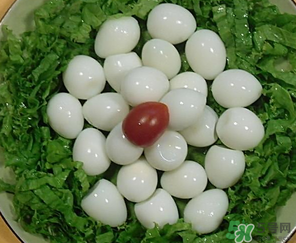 鵪鶉蛋一天吃幾個合適？鵪鶉蛋一天最多吃幾個？
