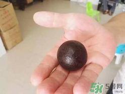 羊寶是什么？羊寶為什么這么貴？